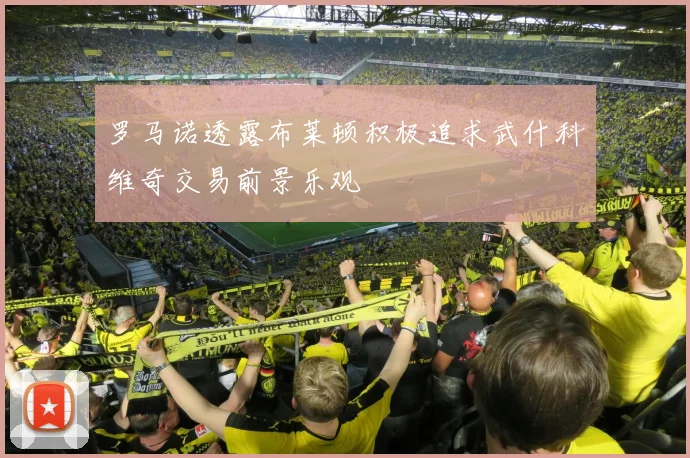 罗马诺透露布莱顿积极追求武什科维奇交易前景乐观